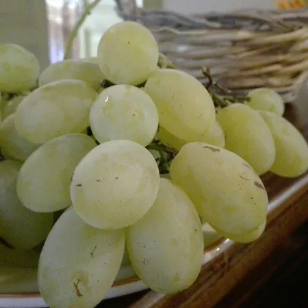 Casa Lopez B&B 바를레타